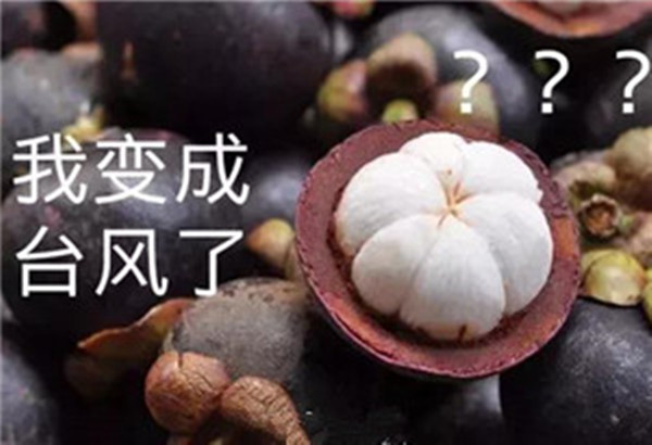 “山竹”還未走遠，但貝朗全自動彎線機已正常上班啦！
