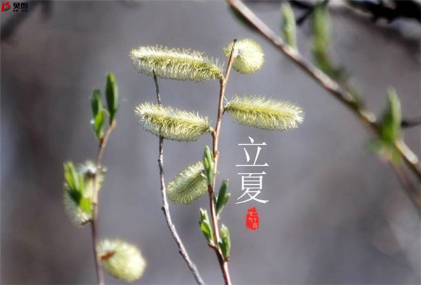 二十四節(jié)氣立夏，那些您不知道的習(xí)俗