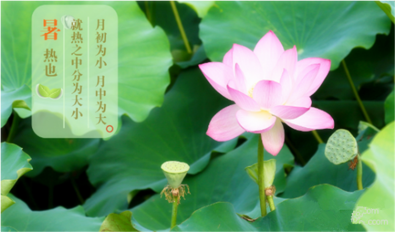 暑臻三伏醉難熬，拭汗揮巾似雨飄——鐵絲成型機