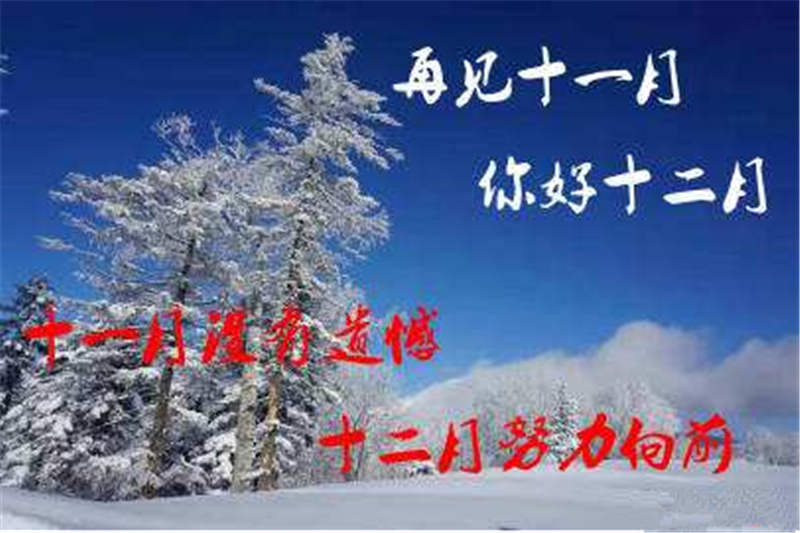 11月再見 ，12月你好——貝朗全自動鋼絲機